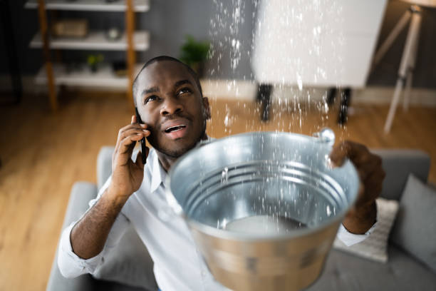 Best Flood restoration services  in Kaibab Estates West, AZ