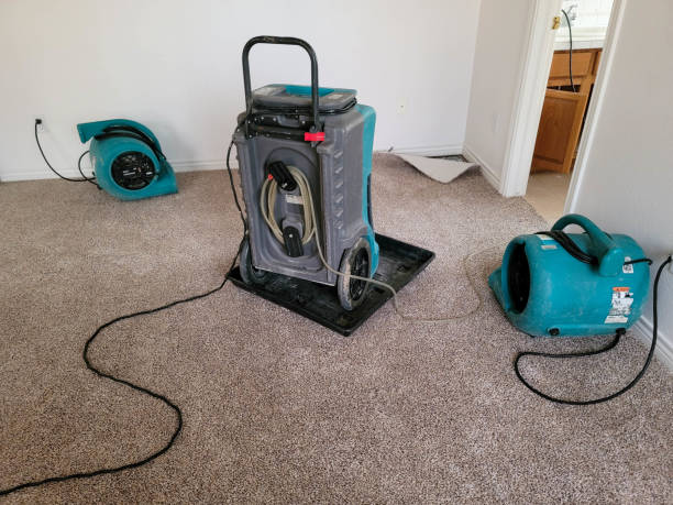 Best Carpet water damage restoration  in Kaibab Estates West, AZ