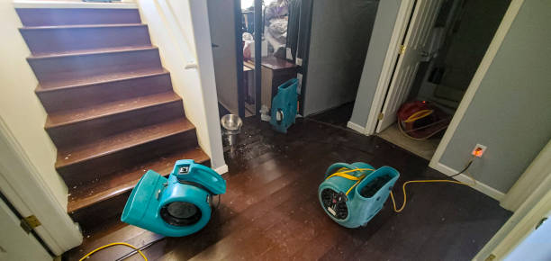 Best Water damage restoration near me  in Kaibab Estates West, AZ