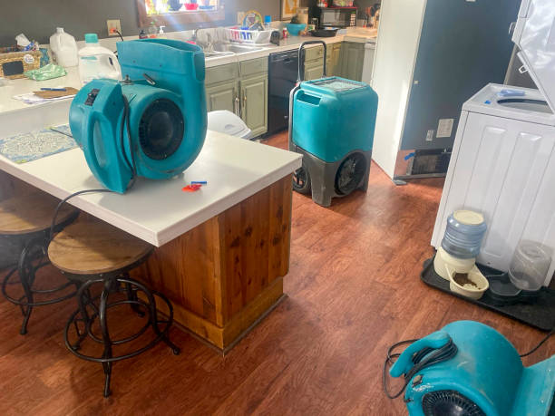 Best Flood damage cleanup  in Kaibab Estates West, AZ