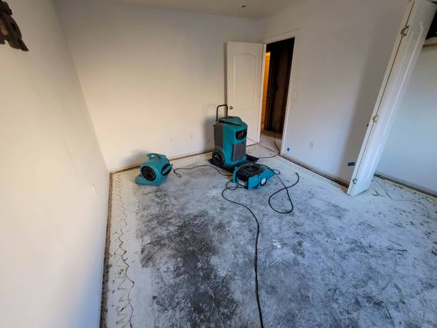 Best 24/7 water damage repair  in Kaibab Estates West, AZ