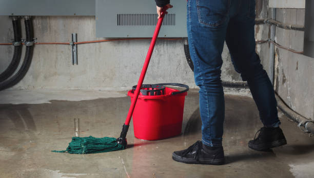 Best Local water damage restoration  in Kaibab Estates West, AZ