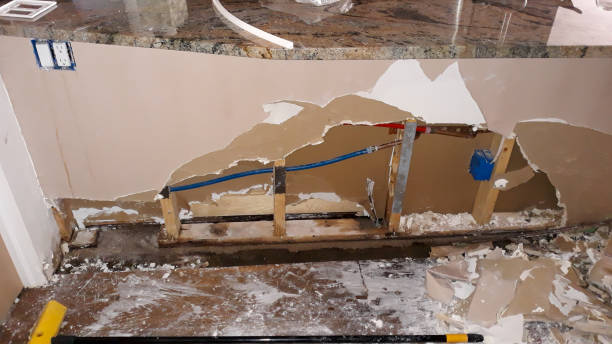 Best Mold removal after water damage  in Kaibab Estates West, AZ