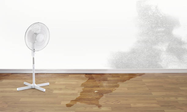 Best Fire Damage Restoration  in Kaibab Estates West, AZ