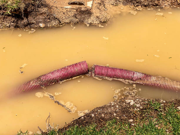 Best Emergency water damage restoration  in Kaibab Estates West, AZ
