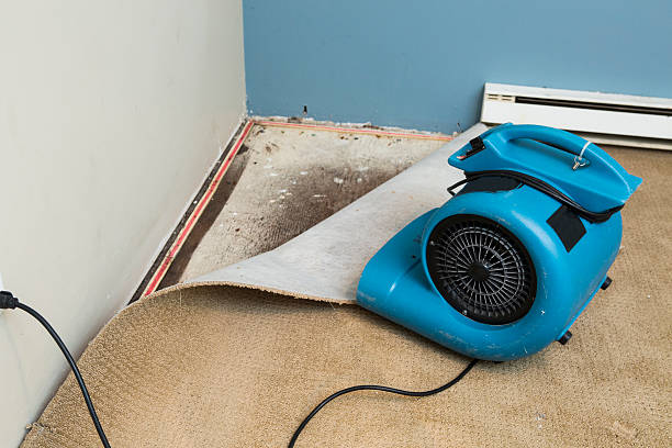 Best Sewage cleanup and water damage restoration  in Kaibab Estates West, AZ